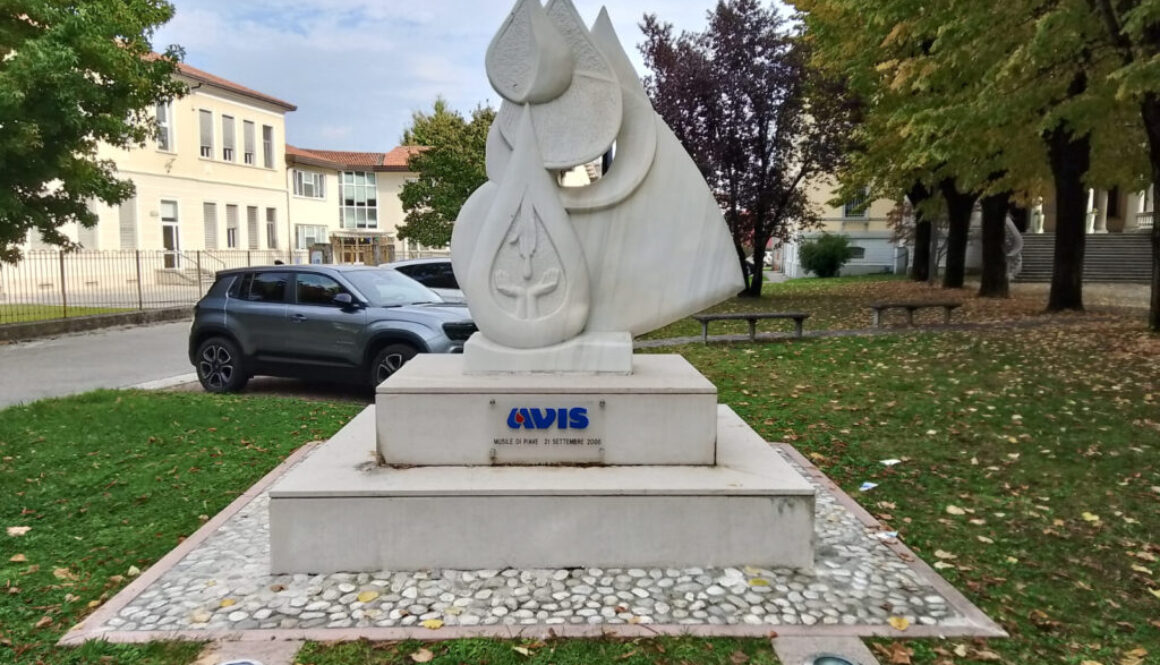 AVIS Musile di Piave 21 settembre 2008